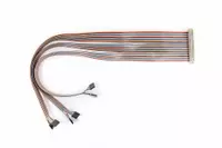 PTC064-2xx20-1x24DIL Cable Assembly